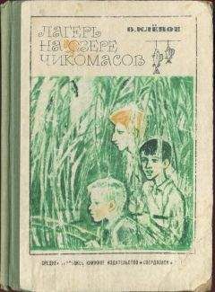 Читайте книги онлайн на Bookidrom.ru! Бесплатные книги в одном клике Василий Клёпов - Лагерь на озере чикомасов