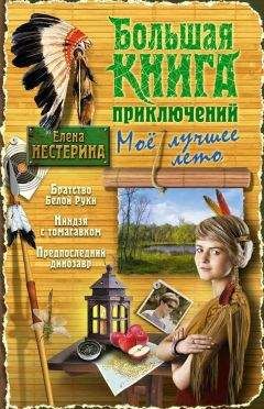 Елена Нестерина - Большая книга приключений. Мое лучшее лето (сборник)