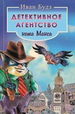 Читайте книги онлайн на Bookidrom.ru! Бесплатные книги в одном клике Иван Будз - Детективное агентство кота Макса