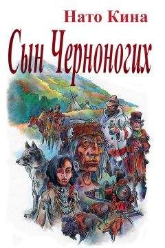 Читайте книги онлайн на Bookidrom.ru! Бесплатные книги в одном клике Нато Кина - СЫН ЧЕРНОНОГИХ