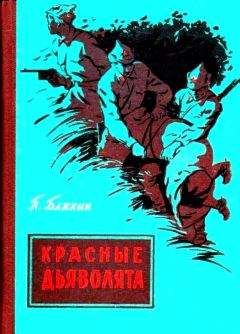 Читайте книги онлайн на Bookidrom.ru! Бесплатные книги в одном клике Павел Бляхин - Красные дьяволята (Художник Ю. Коркин)