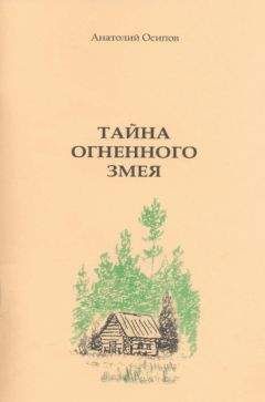 Читайте книги онлайн на Bookidrom.ru! Бесплатные книги в одном клике Анатолий Осипов - Тайна огненного змея