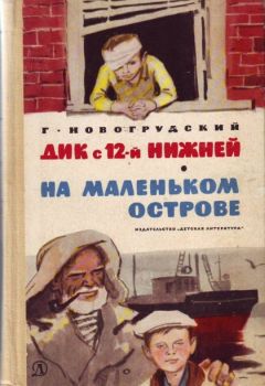 Читайте книги онлайн на Bookidrom.ru! Бесплатные книги в одном клике Герцель Новогрудский - Дик с 12-й Нижней