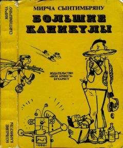 Читайте книги онлайн на Bookidrom.ru! Бесплатные книги в одном клике Мирча Сынтимбряну - Большие каникулы