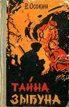 Читайте книги онлайн на Bookidrom.ru! Бесплатные книги в одном клике Евгений Осокин - Тайна Зыбуна