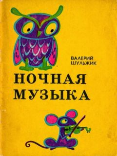 Читайте книги онлайн на Bookidrom.ru! Бесплатные книги в одном клике Валерий Шульжик - Ночная музыка