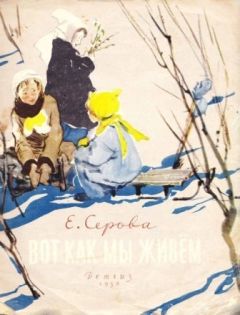 Читайте книги онлайн на Bookidrom.ru! Бесплатные книги в одном клике Екатерина Серова - Вот как мы живем