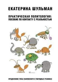 Читайте книги онлайн на Bookidrom.ru! Бесплатные книги в одном клике Екатерина Шульман - Практическая политология: пособие по контакту с реальностью