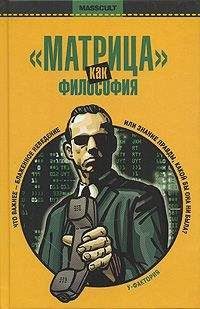 Читайте книги онлайн на Bookidrom.ru! Бесплатные книги в одном клике Уильям Ирвин - "Матрица" как философия