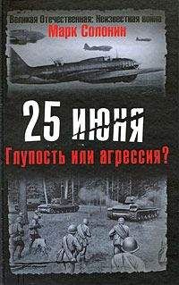 Читайте книги онлайн на Bookidrom.ru! Бесплатные книги в одном клике Марк Солонин - 25 июня. Глупость или агрессия?