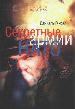 Читайте книги онлайн на Bookidrom.ru! Бесплатные книги в одном клике Даниэль Гансер - Секретные армии НАТО: Операция «Гладио» и терроризм в Западной Европе