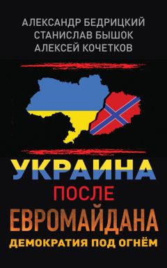 Читайте книги онлайн на Bookidrom.ru! Бесплатные книги в одном клике Станислав Бышок - Украина после Евромайдана. Демократия под огнём