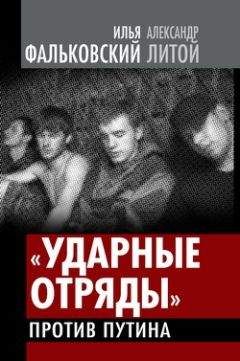 Читайте книги онлайн на Bookidrom.ru! Бесплатные книги в одном клике Илья Фальковский - Гражданская война уже началась