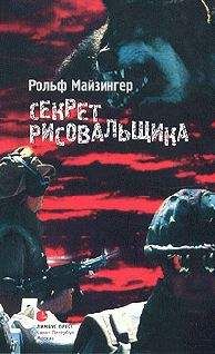 Читайте книги онлайн на Bookidrom.ru! Бесплатные книги в одном клике Рольф Майзингер - Секрет рисовальщика