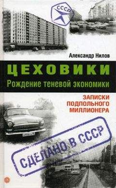 Читайте книги онлайн на Bookidrom.ru! Бесплатные книги в одном клике Александр Нилов - Цеховики. Рождение теневой экономики. Записки подпольного миллионера