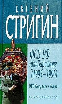 Читайте книги онлайн на Bookidrom.ru! Бесплатные книги в одном клике Евгений Стригин - КГБ был, есть и будет. ФСБ РФ при Барсукове (1995-1996)