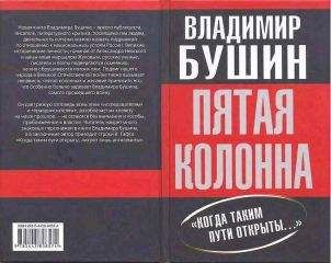 Читайте книги онлайн на Bookidrom.ru! Бесплатные книги в одном клике Владимир Бушин - Пятая колонна