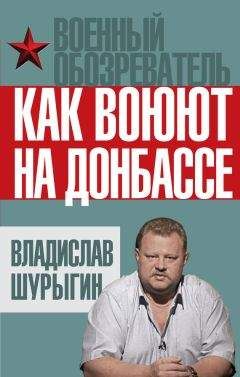 Читайте книги онлайн на Bookidrom.ru! Бесплатные книги в одном клике Владислав Шурыгин - Как воюют на Донбассе