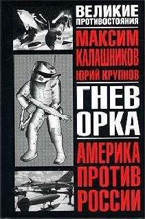 Читайте книги онлайн на Bookidrom.ru! Бесплатные книги в одном клике Максим Калашников - Гнев орка