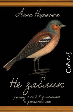 Читайте книги онлайн на Bookidrom.ru! Бесплатные книги в одном клике Анна Наринская - Не зяблик. Рассказ о себе в заметках и дополнениях