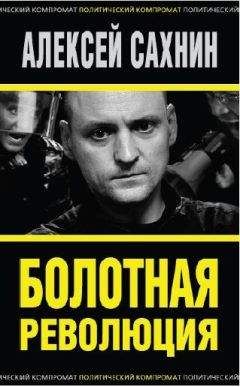 Читайте книги онлайн на Bookidrom.ru! Бесплатные книги в одном клике Алексей Сахнин - Болотная революция