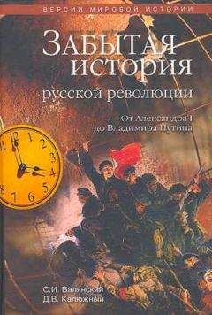 Читайте книги онлайн на Bookidrom.ru! Бесплатные книги в одном клике Сергей Валянский - Забытая история русской революции. От Александра I до Владимира Путина