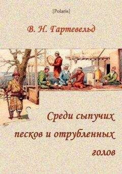 Читайте книги онлайн на Bookidrom.ru! Бесплатные книги в одном клике Вильгельм Гартевельд - Среди сыпучих песков и отрубленных голов