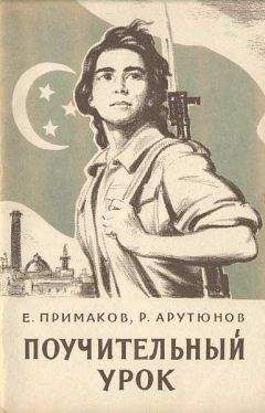 Читайте книги онлайн на Bookidrom.ru! Бесплатные книги в одном клике Евгений Примаков - Поучительный урок (Вооруженная агрессия против Египта)