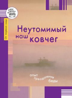 Читайте книги онлайн на Bookidrom.ru! Бесплатные книги в одном клике Светлана Бейлезон - Неутомимый наш ковчег. Опыт преодоления беды