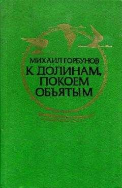 Читайте книги онлайн на Bookidrom.ru! Бесплатные книги в одном клике Михаил Горбунов - К долинам, покоем объятым