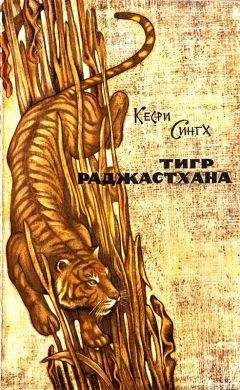 Читайте книги онлайн на Bookidrom.ru! Бесплатные книги в одном клике Кесри Сингх - Тигр Раджастхана