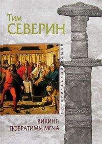 Читайте книги онлайн на Bookidrom.ru! Бесплатные книги в одном клике Тим Северин - Побратимы меча