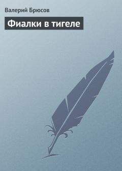 Читайте книги онлайн на Bookidrom.ru! Бесплатные книги в одном клике Валерий Брюсов - Фиалки в тигеле