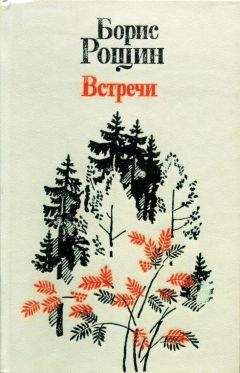 Читайте книги онлайн на Bookidrom.ru! Бесплатные книги в одном клике Борис Рощин - Встречи