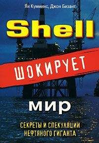 Читайте книги онлайн на Bookidrom.ru! Бесплатные книги в одном клике Ян Кумминс - Shell шокирует мир