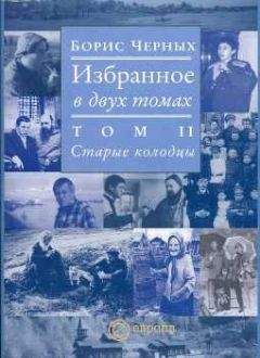 Читайте книги онлайн на Bookidrom.ru! Бесплатные книги в одном клике Борис Черных - Старые колодцы