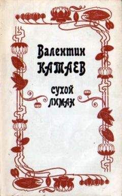 Валентин Катаев - Обоюдный старичок