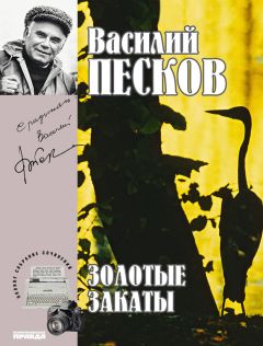 Читайте книги онлайн на Bookidrom.ru! Бесплатные книги в одном клике Василий Песков - Полное собрание сочинений. Том 20. Золотые закаты