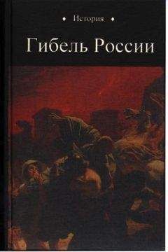 Читайте книги онлайн на Bookidrom.ru! Бесплатные книги в одном клике Юрий Петухов - Гибель России