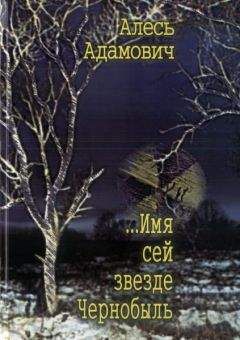 Читайте книги онлайн на Bookidrom.ru! Бесплатные книги в одном клике Алесь Адамович - ...Имя сей звезде Чернобыль