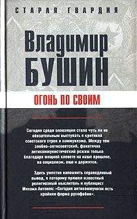 Читайте книги онлайн на Bookidrom.ru! Бесплатные книги в одном клике Владимир Бушин - Огонь по своим