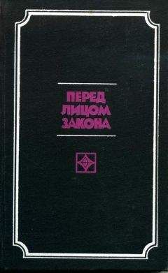Читайте книги онлайн на Bookidrom.ru! Бесплатные книги в одном клике А РЕКУНКОВ - Перед лицом закона