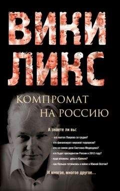 Читайте книги онлайн на Bookidrom.ru! Бесплатные книги в одном клике Сборник - Викиликс. Компромат на Россию