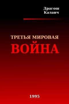 Читайте книги онлайн на Bookidrom.ru! Бесплатные книги в одном клике Драгош Калаич - Третья Мировая война