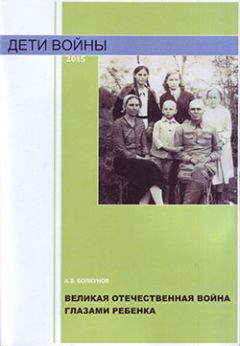 Читайте книги онлайн на Bookidrom.ru! Бесплатные книги в одном клике Анатолий Болкунов - Великая Отечественная война глазами ребенка