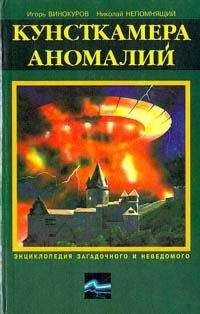 Читайте книги онлайн на Bookidrom.ru! Бесплатные книги в одном клике Игорь Винокуров - Кунсткамера аномалий