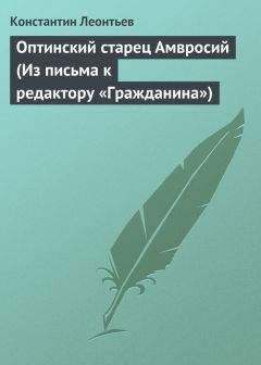 Читайте книги онлайн на Bookidrom.ru! Бесплатные книги в одном клике Константин Леонтьев - Оптинский старец Амвросий (Из письма к редактору «Гражданина»)