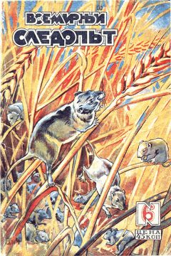 Читайте книги онлайн на Bookidrom.ru! Бесплатные книги в одном клике В. Чаплыгин - Всемирный следопыт, 1930 № 06