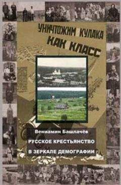 Читайте книги онлайн на Bookidrom.ru! Бесплатные книги в одном клике Вениамин Башлачев - Русское крестьянство в зеркале демографии