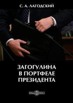 Читайте книги онлайн на Bookidrom.ru! Бесплатные книги в одном клике Сергей Лагодский - Загогулина в портфеле президента